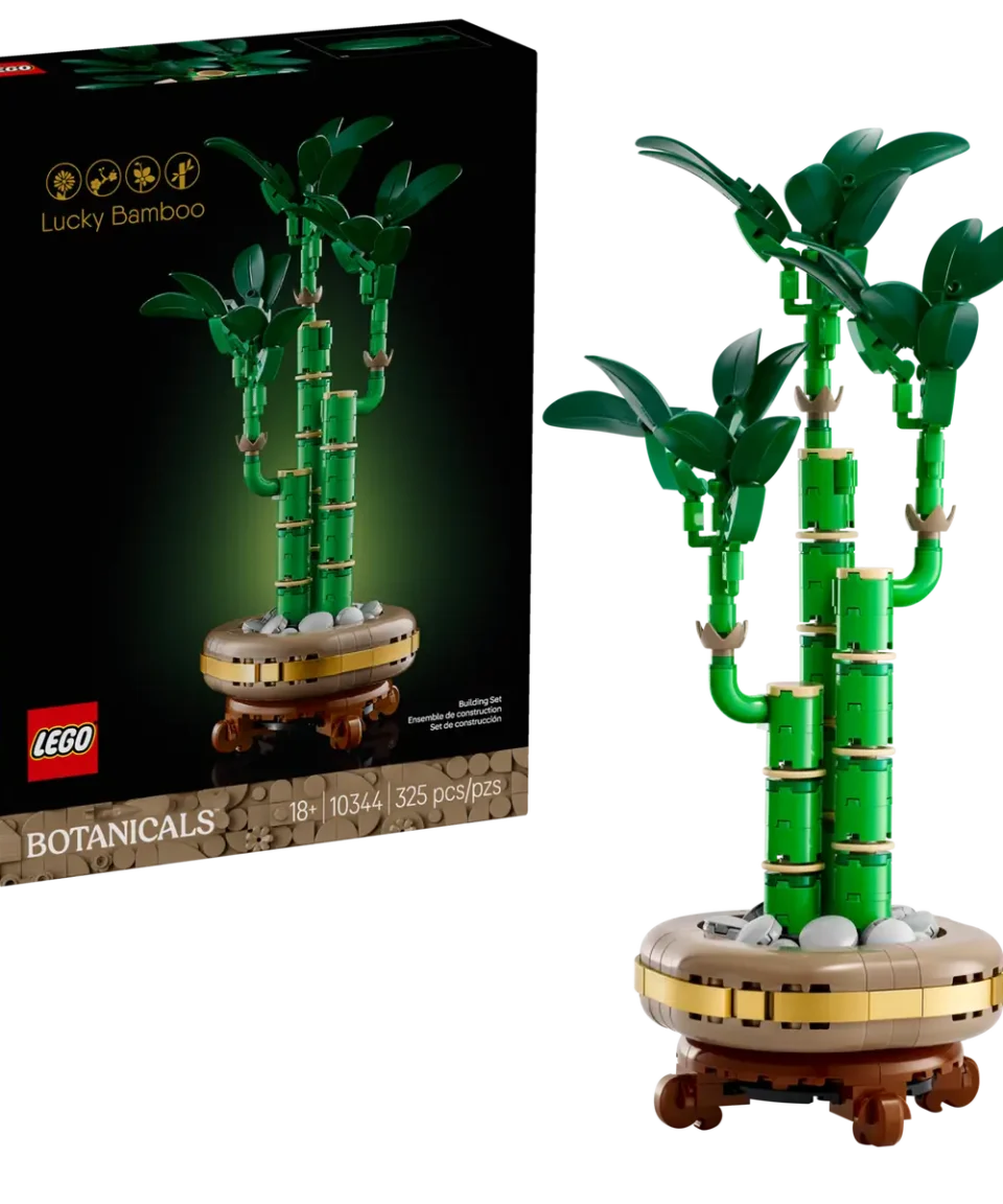 Alternative view of לגו במבוק המזל (10344)